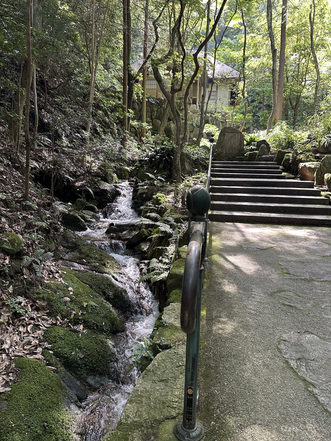 渓流に沿って続く人物のいない三滝寺の石段
