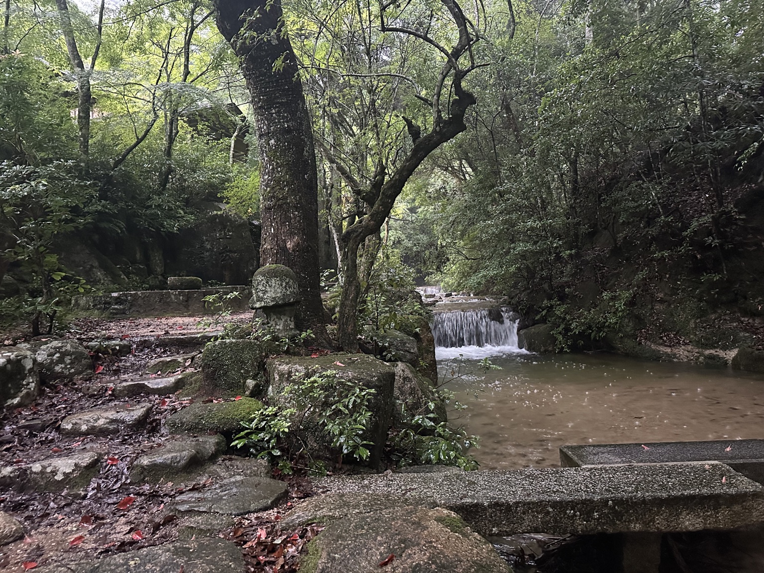 早朝のひょうたん桟敷へ続く、渓流沿いの静かな道
