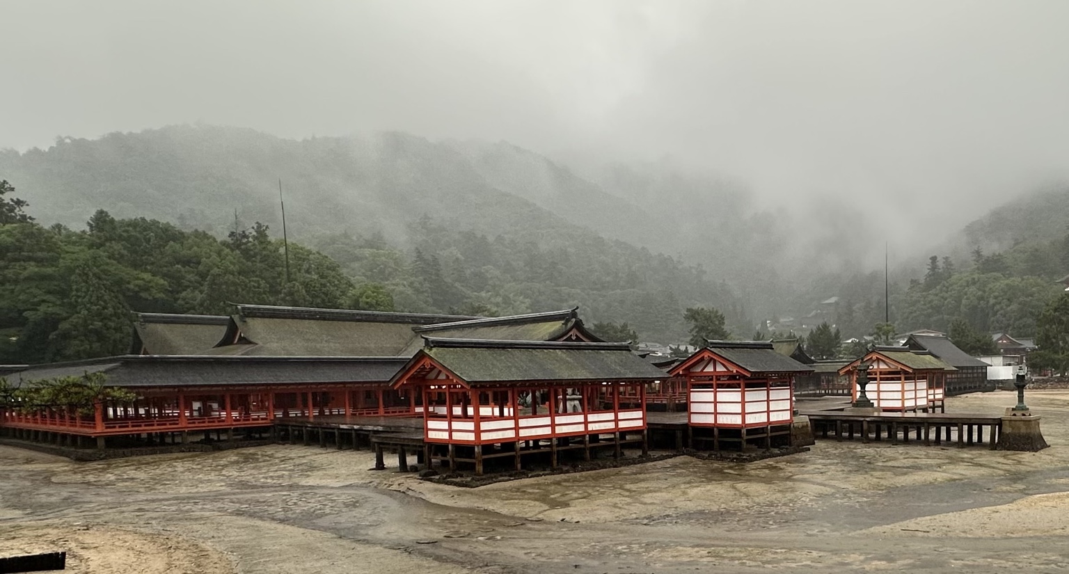 霧をまとった早朝の嚴島神社