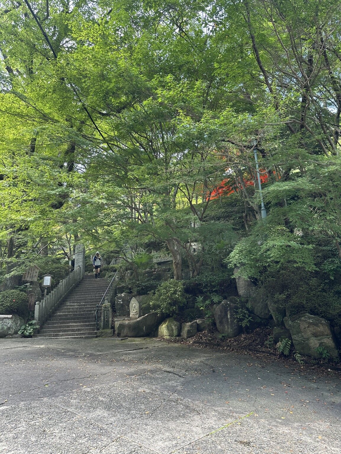 緑深い木々に包まれた三滝寺の入口