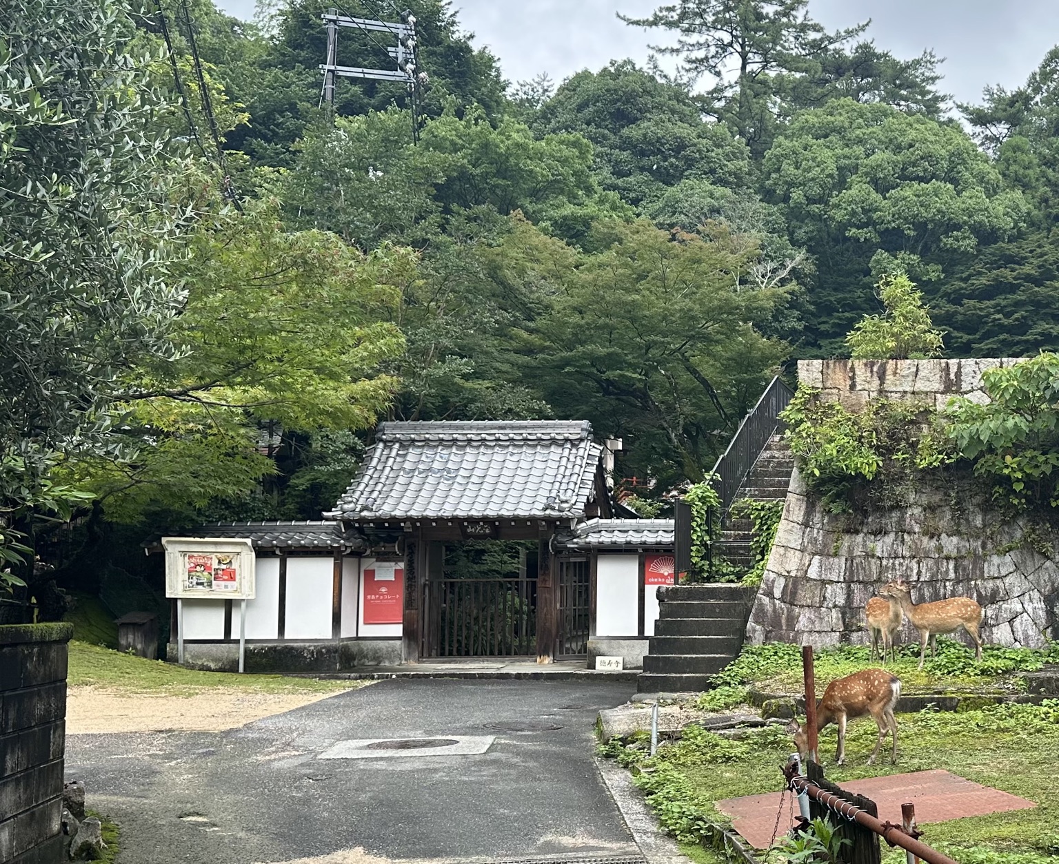 宮島にあるお稽古ジャパンの入口