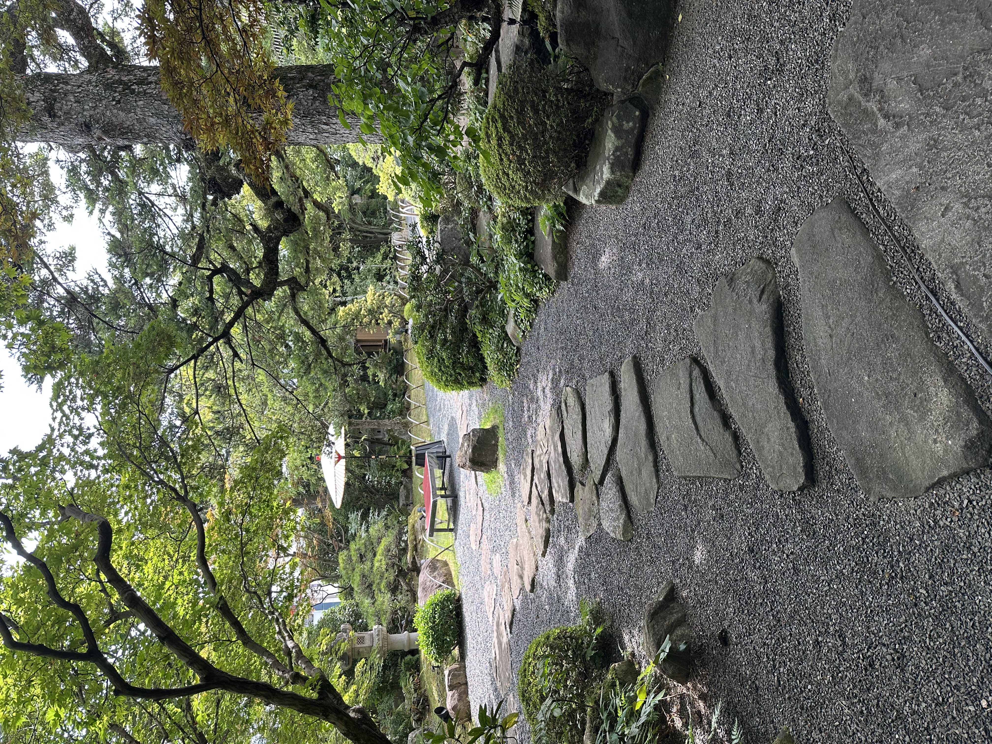 三瀧荘の緑豊かな日本庭園