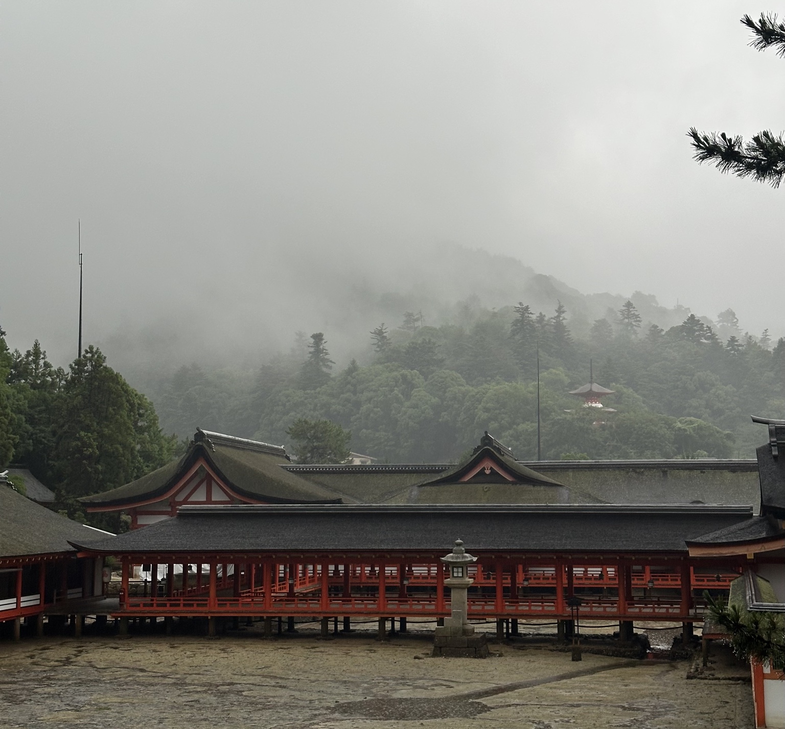 霧に包まれた嚴島神社