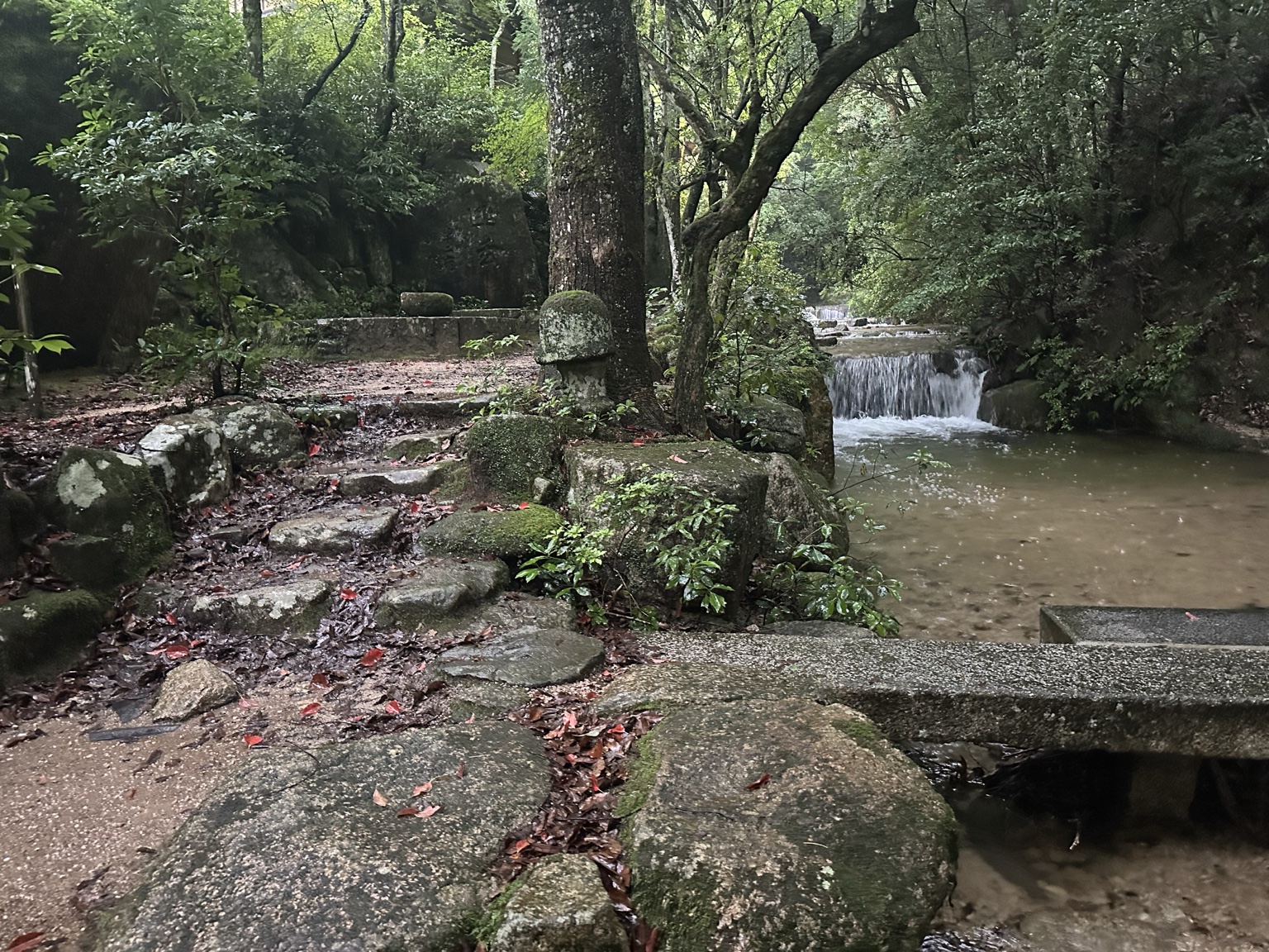 苔むした石と水の流れに包まれた静かな自然