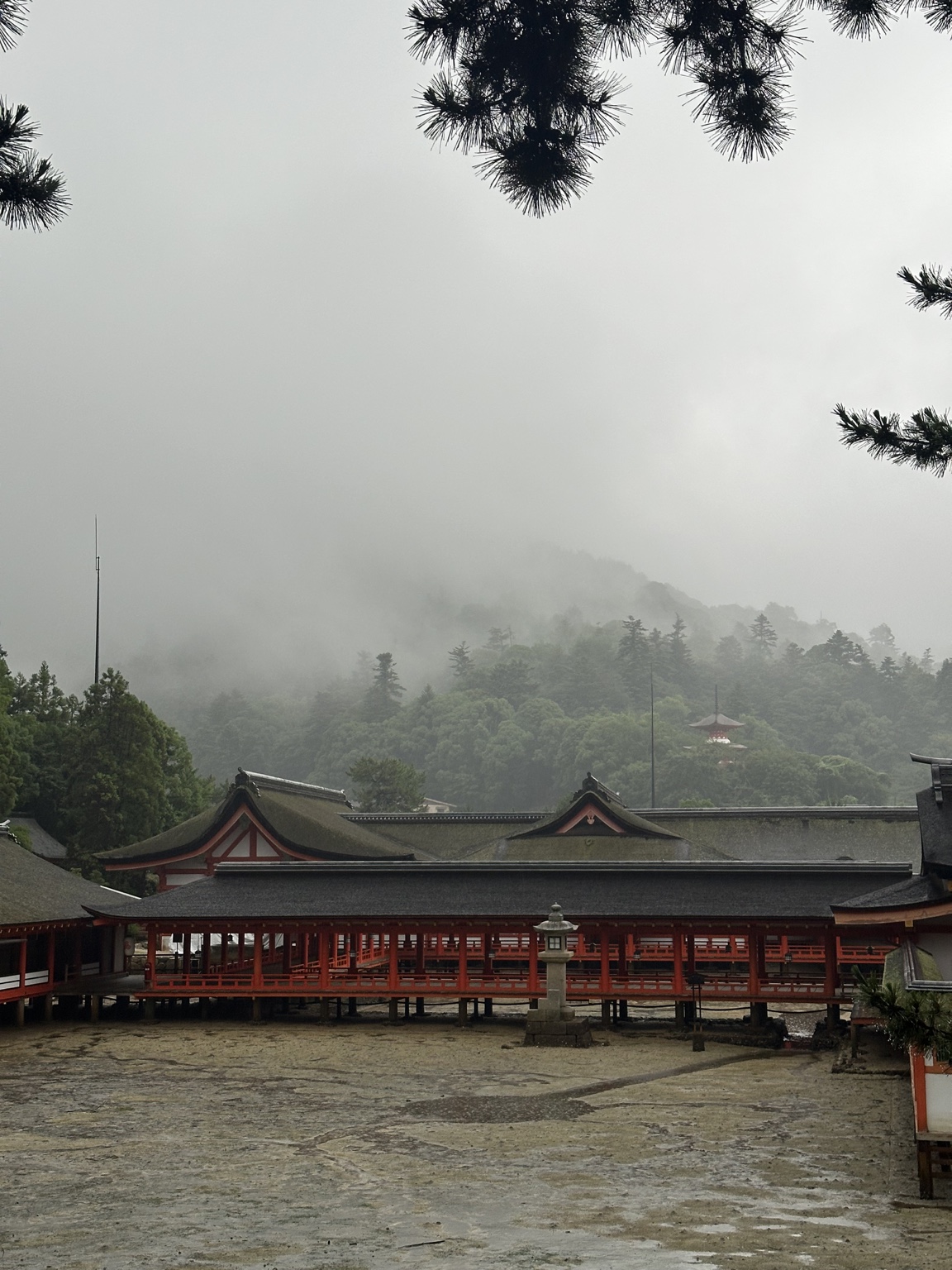 早朝の静かな嚴島神社と霧に包まれた弥山