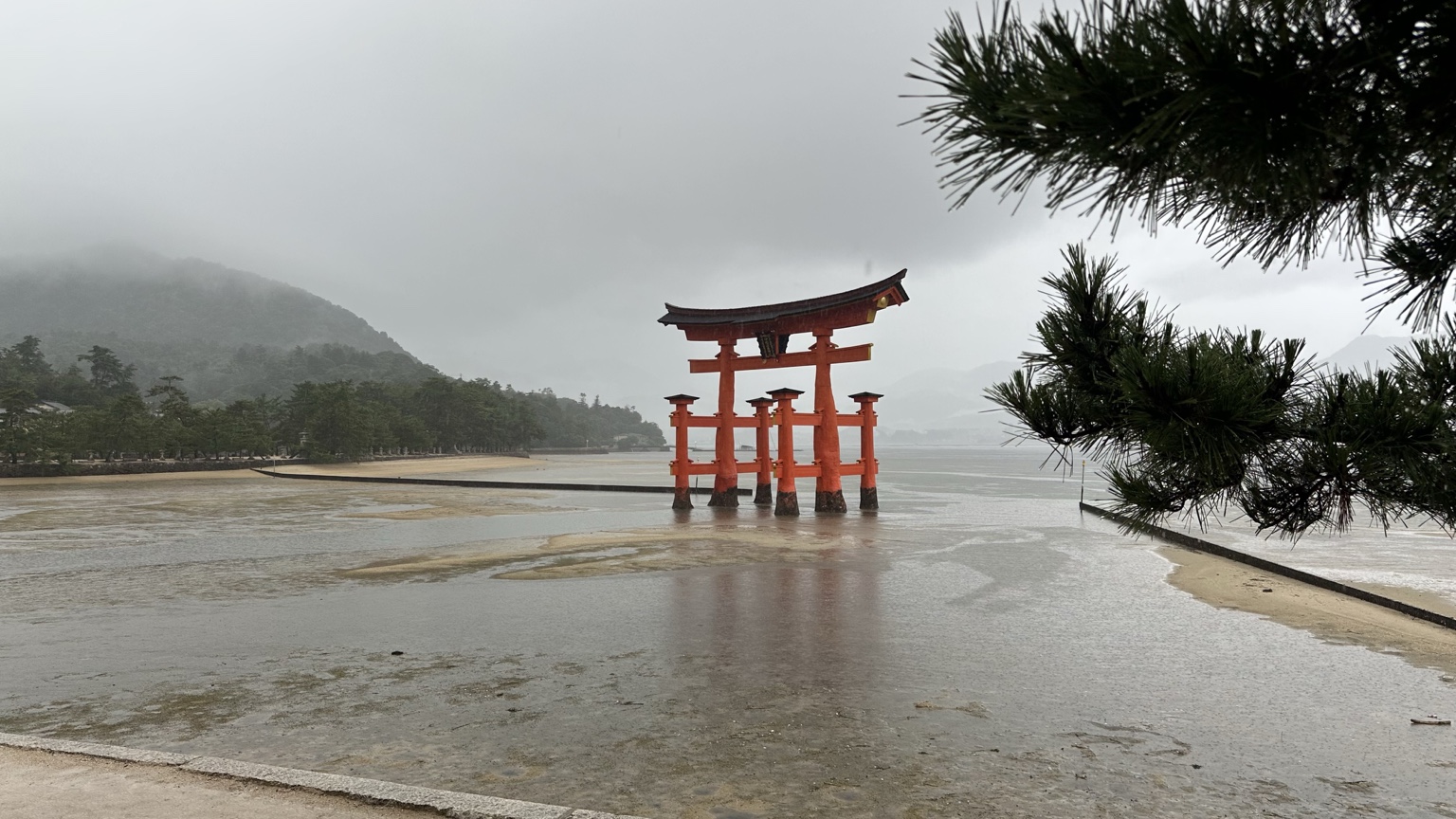 雨の宮島に静かに佇む嚴島神社の大鳥居